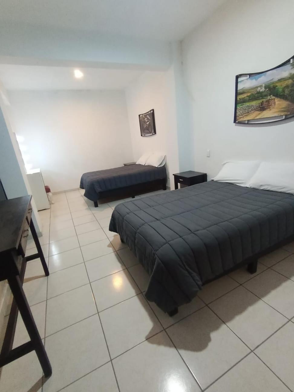 Hotel Boutique Arbol De La Vida Таско-де-Аларкон Экстерьер фото